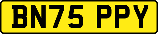 BN75PPY