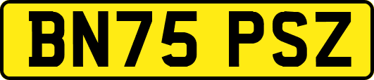 BN75PSZ