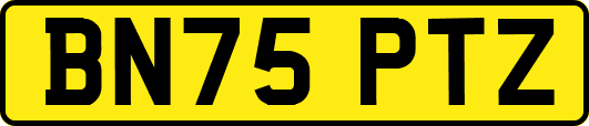 BN75PTZ