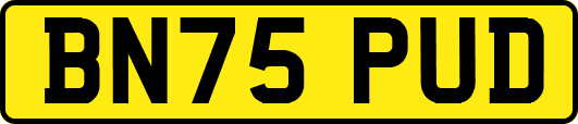 BN75PUD