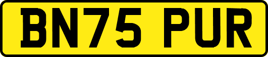 BN75PUR