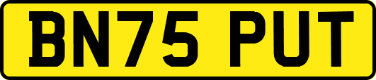 BN75PUT
