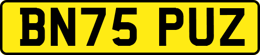 BN75PUZ