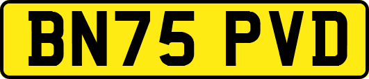 BN75PVD