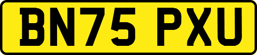 BN75PXU