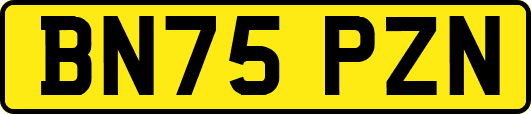 BN75PZN