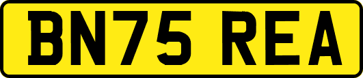 BN75REA