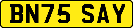 BN75SAY