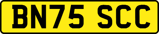 BN75SCC