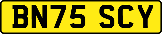 BN75SCY