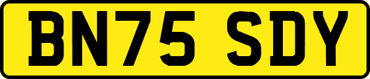 BN75SDY