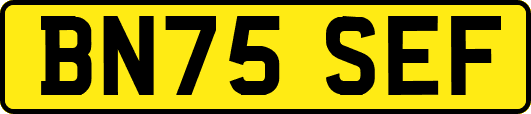 BN75SEF