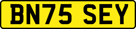 BN75SEY