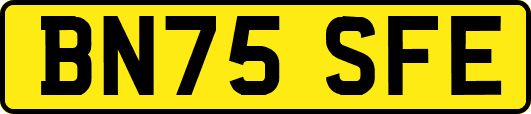 BN75SFE
