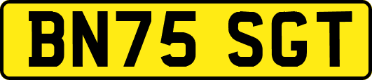 BN75SGT
