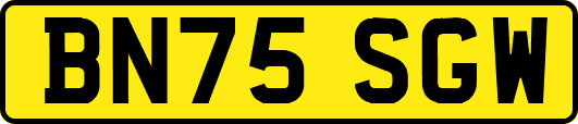 BN75SGW