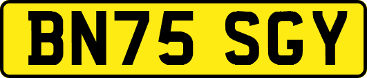BN75SGY