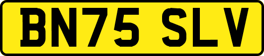 BN75SLV