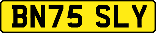 BN75SLY