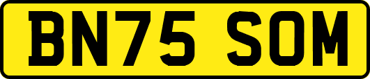 BN75SOM