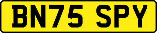 BN75SPY
