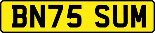 BN75SUM