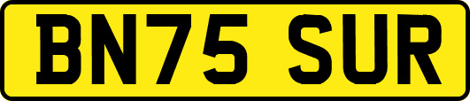 BN75SUR