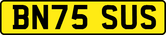 BN75SUS
