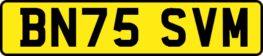 BN75SVM