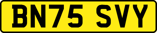 BN75SVY