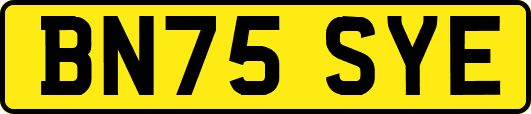 BN75SYE