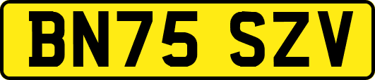 BN75SZV