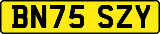 BN75SZY