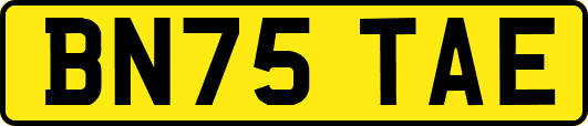 BN75TAE