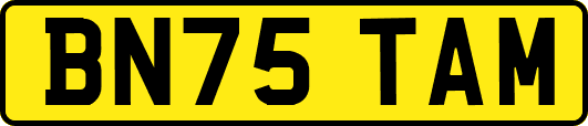 BN75TAM