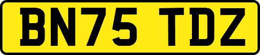 BN75TDZ