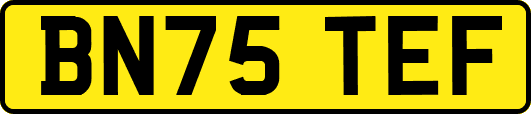 BN75TEF