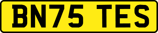 BN75TES