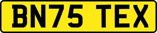 BN75TEX