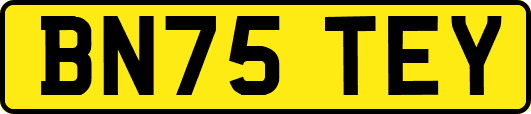 BN75TEY