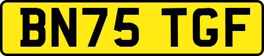 BN75TGF