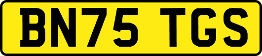 BN75TGS