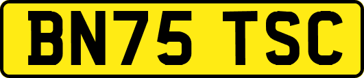 BN75TSC