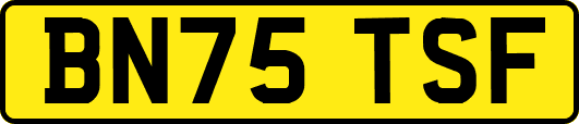 BN75TSF