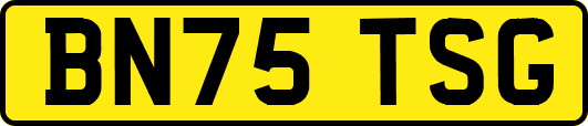 BN75TSG