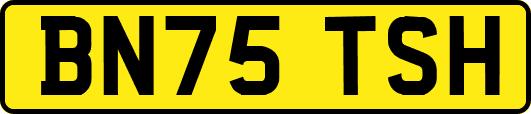 BN75TSH