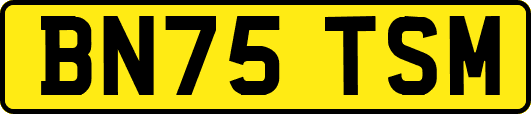 BN75TSM