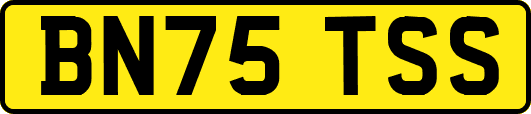 BN75TSS