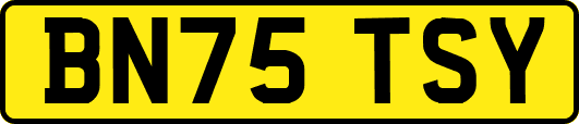 BN75TSY