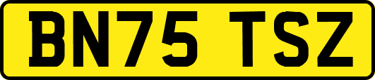 BN75TSZ